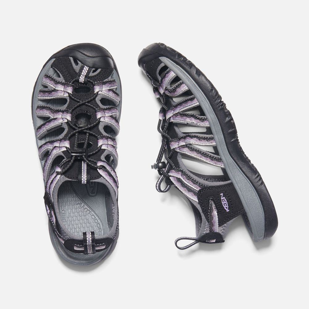 Sandales de Randonnée Keen Femme Violette/Noir | Whisper | BDEKO-4198